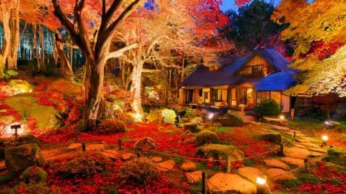Gita di 1 giorno in Giappone: Monte Hiei, Tempio Enryaku-ji + Omihachiman + Illuminazione delle foglie autunnali al Tempio Kyorinbo