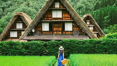 Japonia: 1-dniowa wycieczka z Nagoi do Hidakochi i Shirakawa-go | Małe grupy do 9 osób