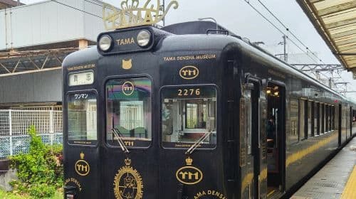 Japan Nanki Shirahama Onsen + Wakayama Cat Stationmaster Tama Train + Senjojiki + Sandanbeki Cliffs one-day tour