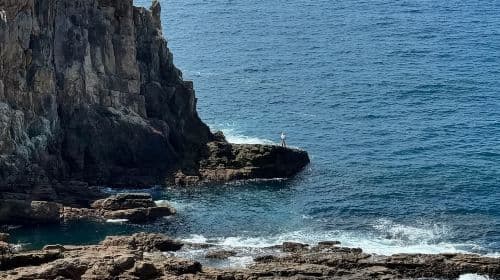 Japan Nanki Shirahama Onsen + Wakayama Cat Stationmaster Tama Train + Senjojiki + Sandanbeki Cliffs one-day tour