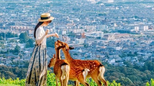 Japan Nara Park + Uji + warmwaterbron dagtour