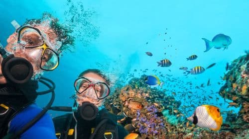 Japan Okinawa Blue Cave 다이빙 및 스노클링 2시간 체험