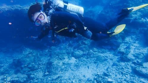 Japan Okinawa Blue Cave 다이빙 및 스노클링 2시간 체험