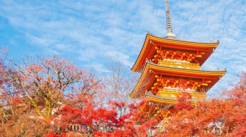 Japan Osaka + Kyoto + Kiyomizu Temple + Amanohashidate + Nara Park one-day tour Day Tours