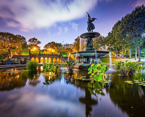 Semi-private Central Park walking tour