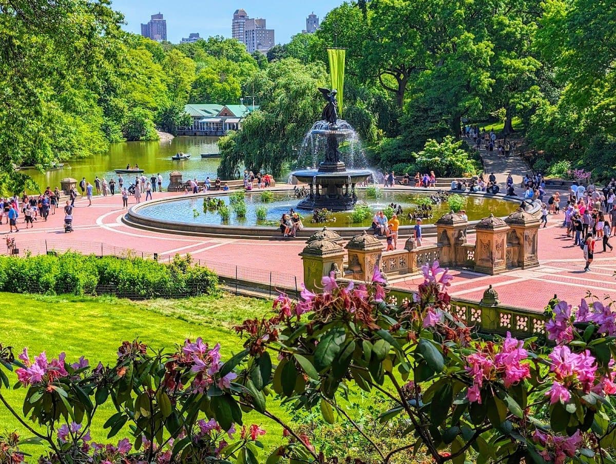 Semi-private Central Park walking tour