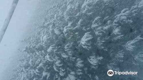 Jednodniowa wycieczka narciarska na górę Hakodate w prefekturze Shiga w Japonii – w cenie bilet wstępu, opłata za kolejkę linową, snowboard i odzież narciarska
