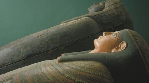 The Field Museum of Natural History: Guided Tour + Early Access + Exhibition