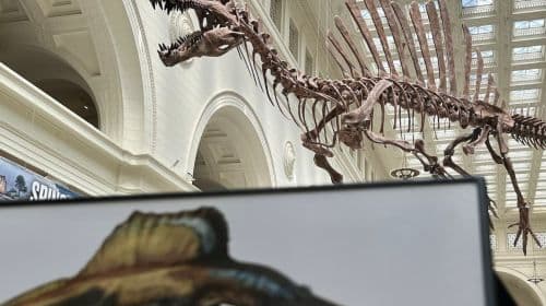 The Field Museum of Natural History: Guided Tour + Early Access + Exhibition