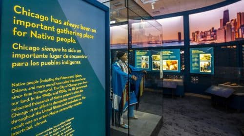 The Field Museum of Natural History: Pass