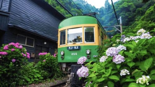 Tour privato personalizzato di Kamakura con guida locale