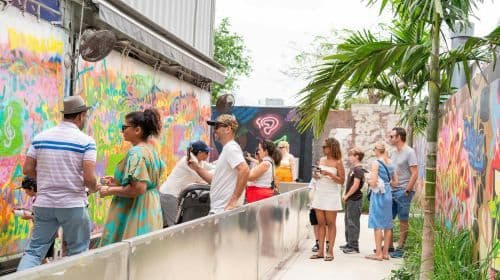 Wynwood Walls : Entrée générale + Expérience Freestyle Street Art