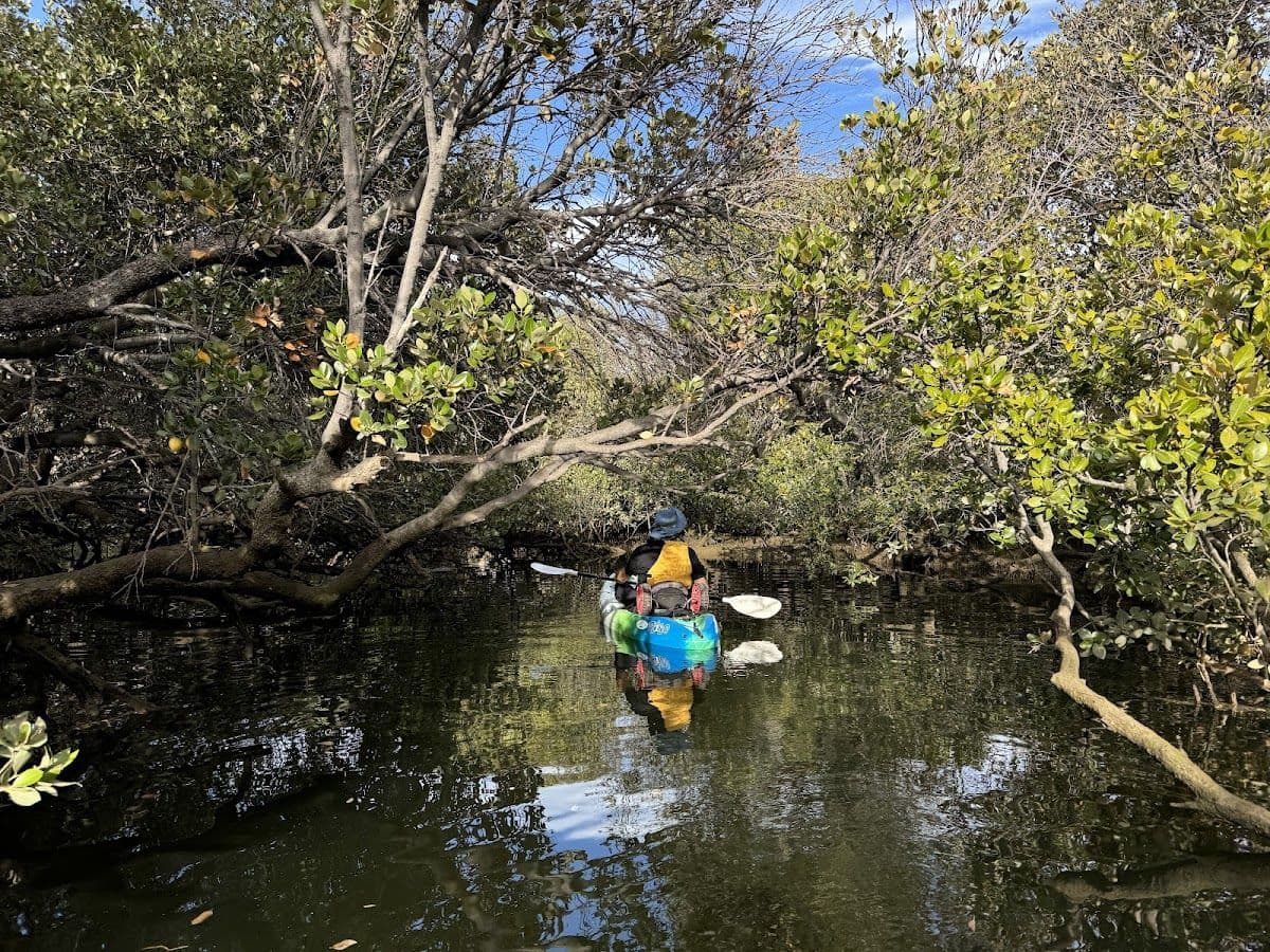 Dolphin Sanctuary & Ships Graveyard Kayak Tour