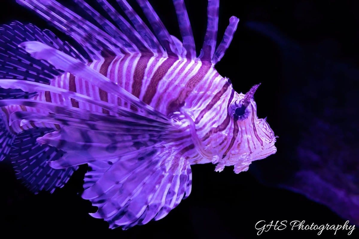 Cairns Aquarium Tickets | Queensland