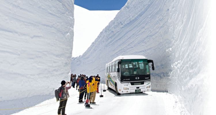 Jr Central Alpine-Takayama-Matsumoto Area Tourist Pass
