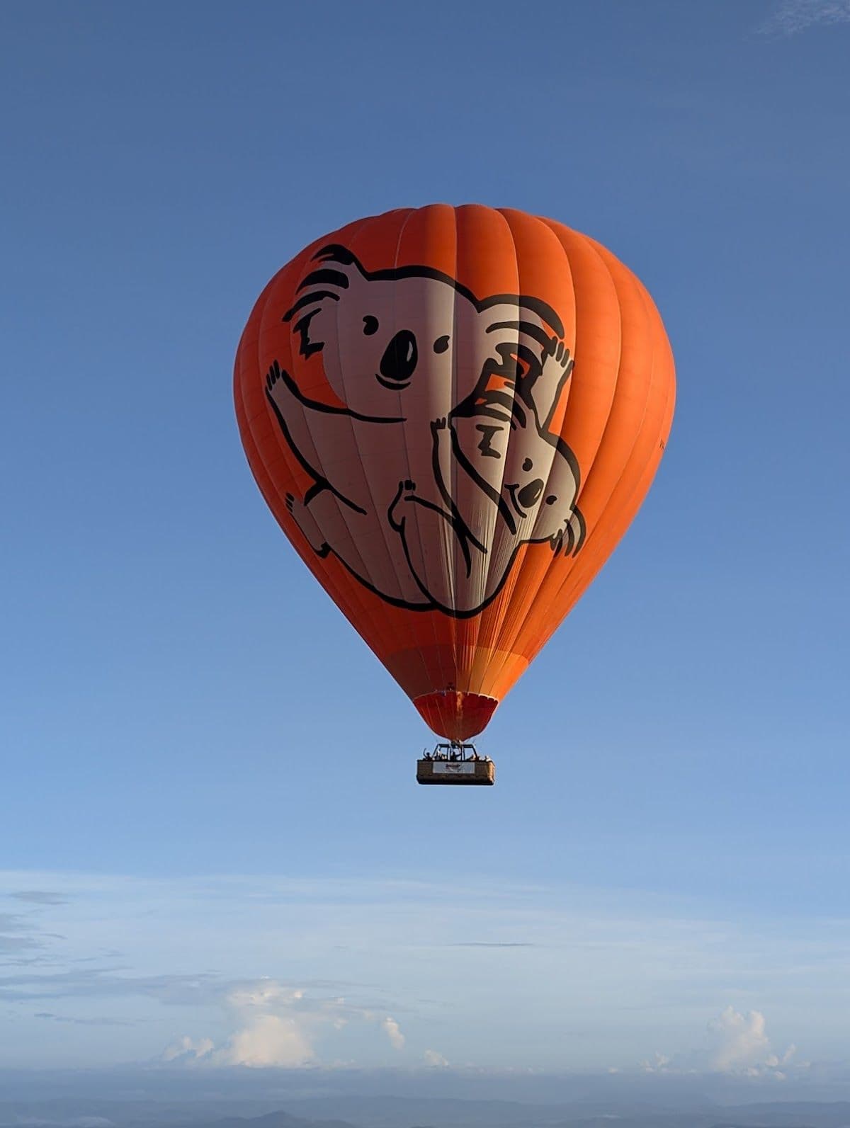 Cairns Hot Air Balloon Flight