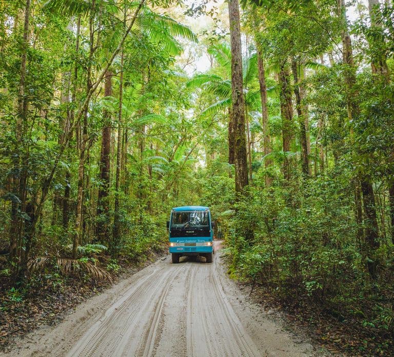 Hervey Bay発：K'gari, Fraser Island 1日コーチツアー