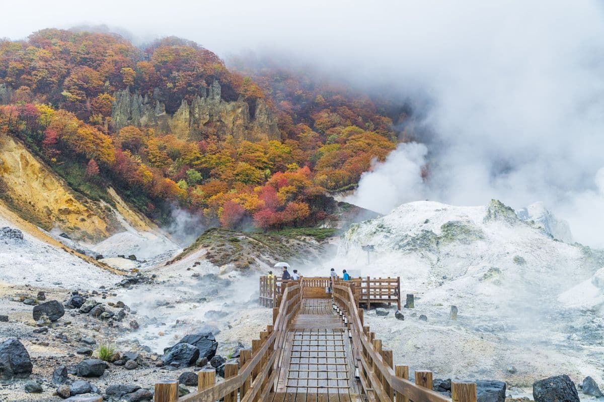 JR Hokkaido East-South Hokkaido Rail Pass