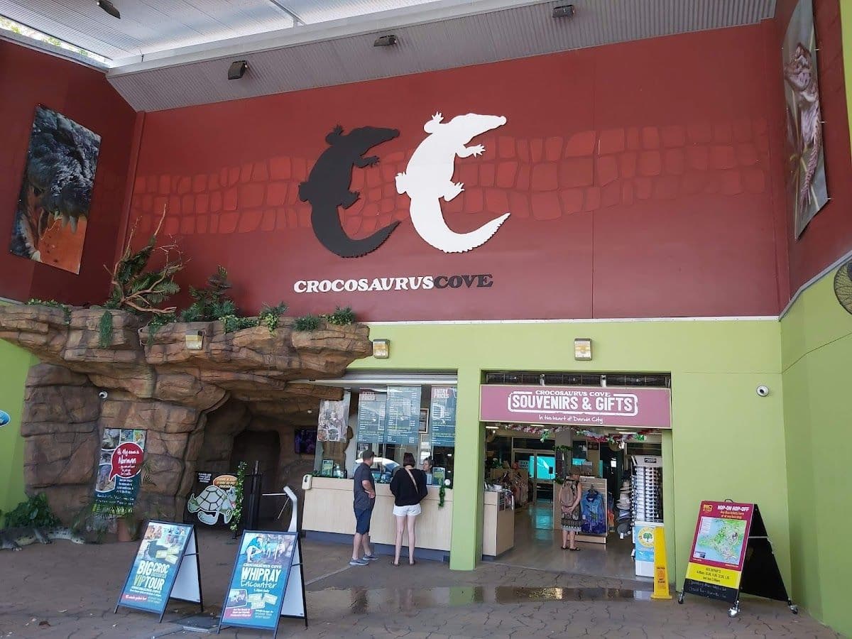 Crocosaurus Cove Darwin Croc Feeding Experience