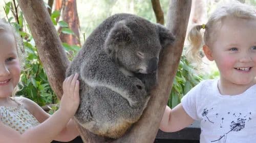 Australian Reptile Park