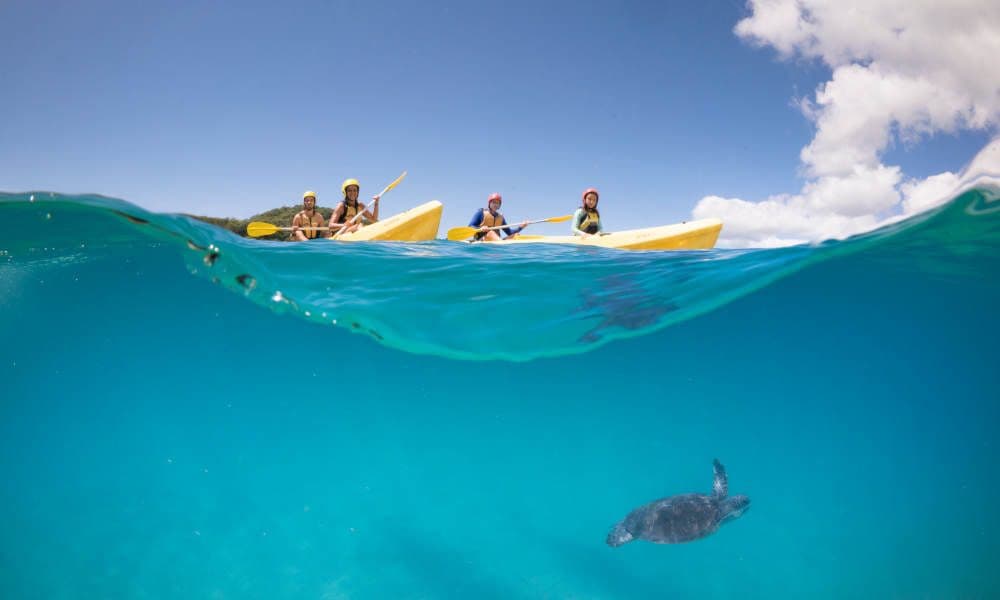 Excursion en kayak avec les dauphins à Byron Bay