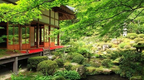 Kyoto Nanzen-ji Temple & Sanzen-in & Kifune Shrine Hidden Trail Day Tour Day Tours