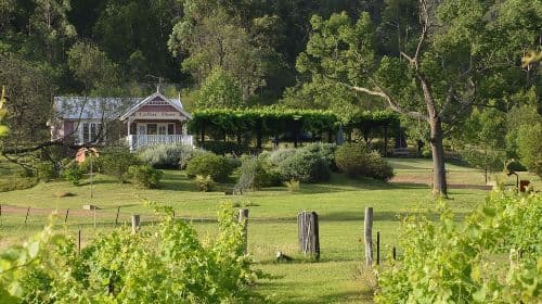 Chef-Led Hunter Valley Gourmet Food and Wine Day Tour from Sydney