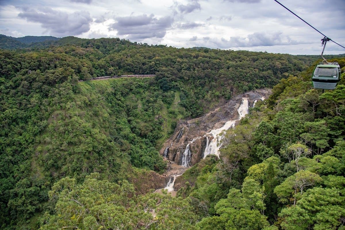 Classic Kuranda Skyrail Rainforest Cableway Day Tour with transfers