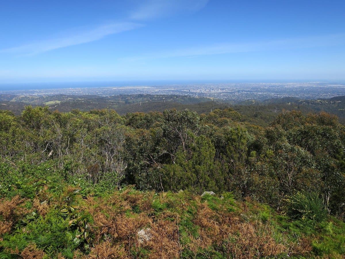 Cleland Wildlife Park Tour from Adelaide