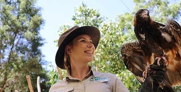 Currumbin Wildlife Sanctuary Tickets