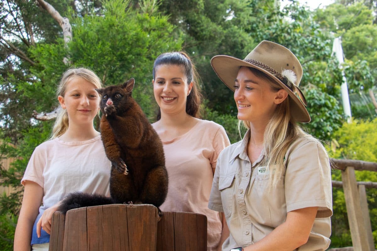 Currumbin Wildlife Sanctuary Tickets