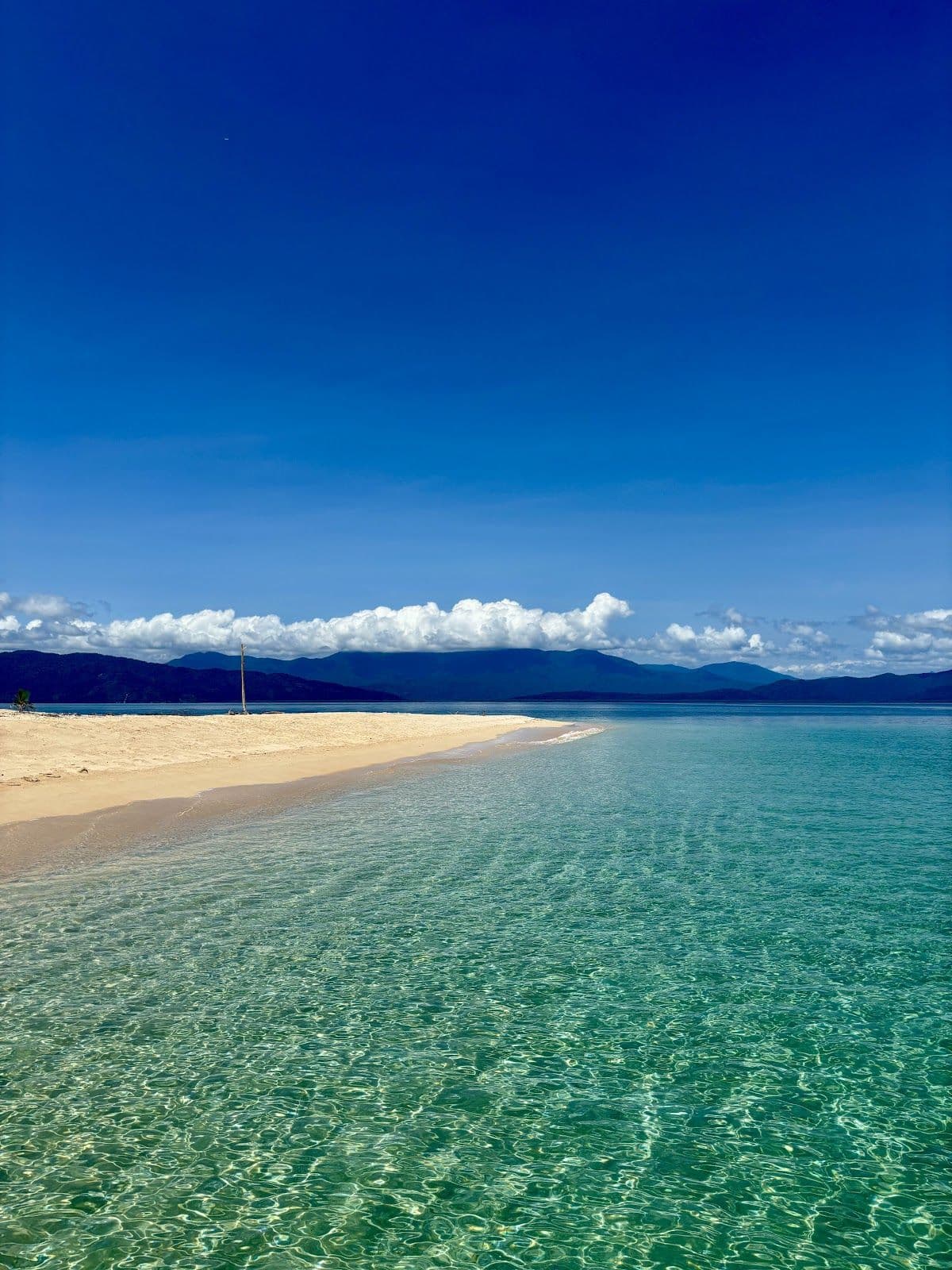 Frankland Islands Reef Cruise & Island Day Tour
