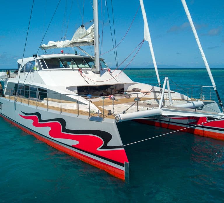 From Cairns: Great Barrier Reef Cruise by Premium Catamaran