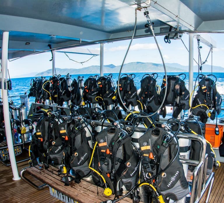 Vanuit Cairns: Great Barrier Reef-cruise per luxe catamaran