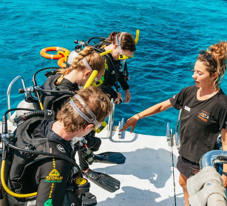 Vanuit Cairns: Great Barrier Reef-cruise per luxe catamaran