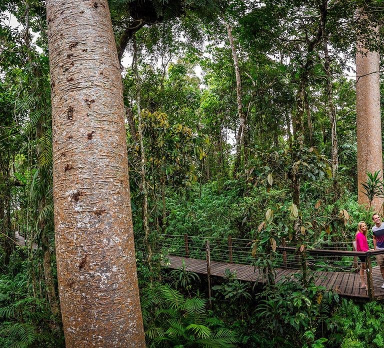 From Cairns: Self-Guided Kuranda Trip with Train and Skyrail