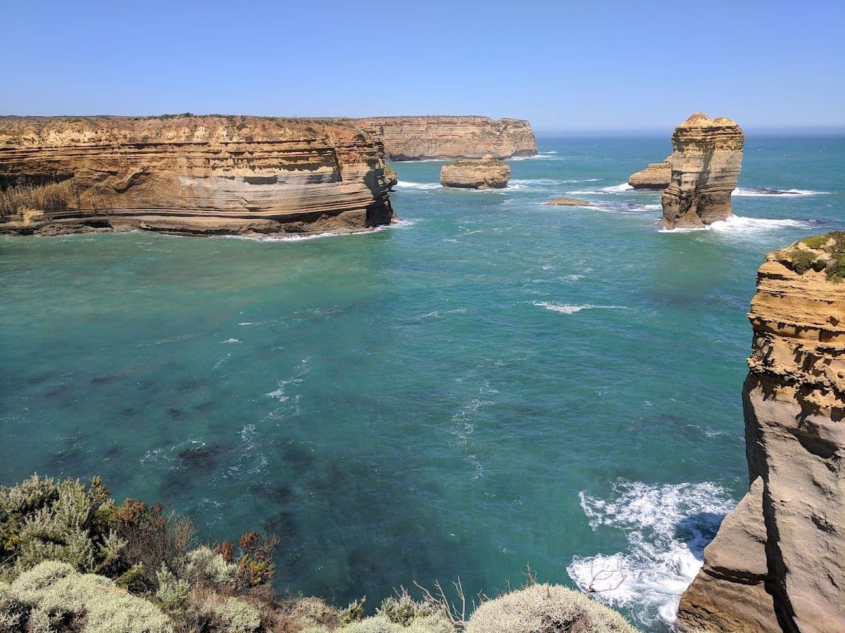 Great Ocean Road Guided Wildlife Walk - 75 Minutes
