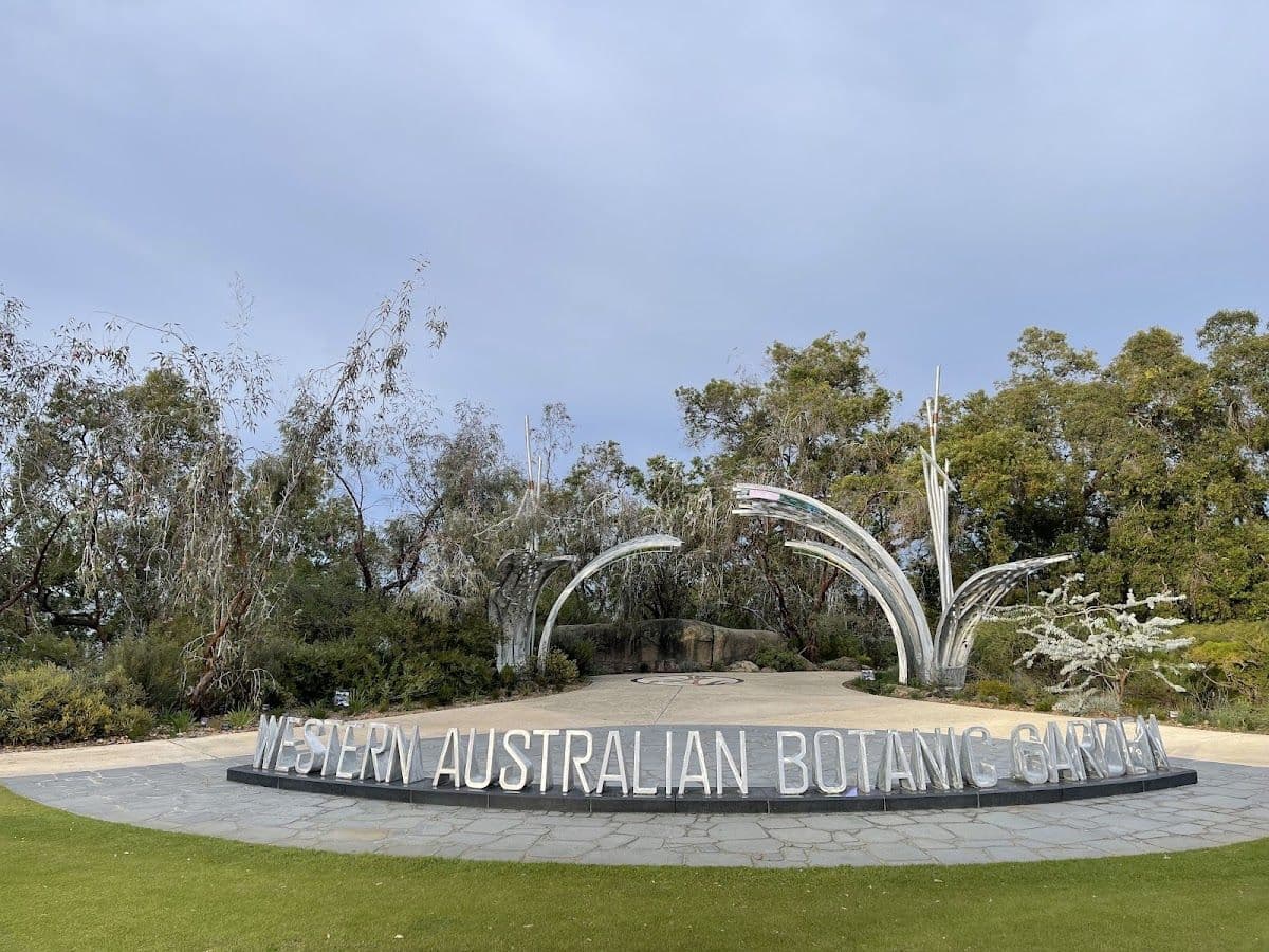 Kings Park and Botanical Garden Walking Tour - 2.5 Hours