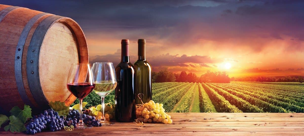 McLaren Vale Wineries Bike Tour
