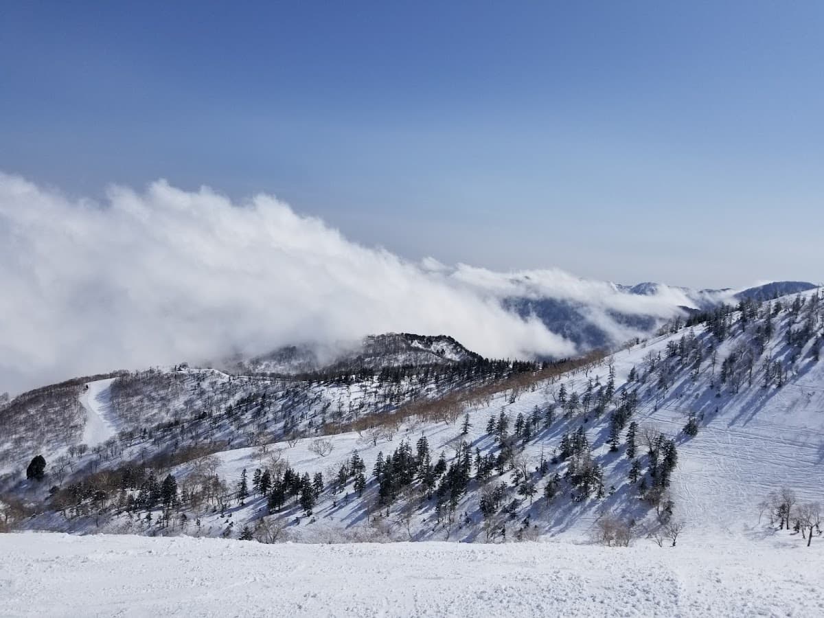 Kagura Snow Resorts
