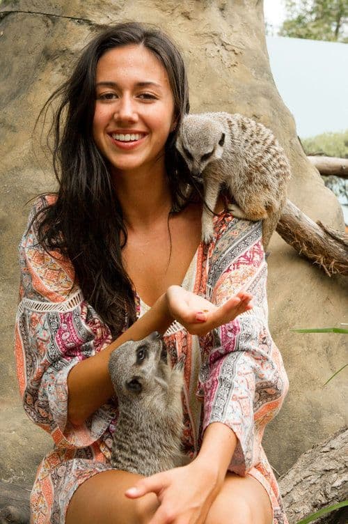 Mogo Wildlife Park 入場門票