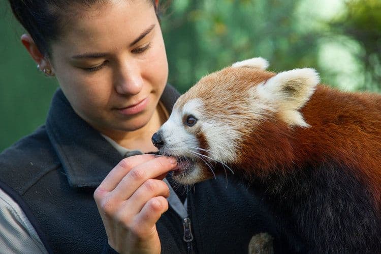 Mogo Wildlife Park 入场门票