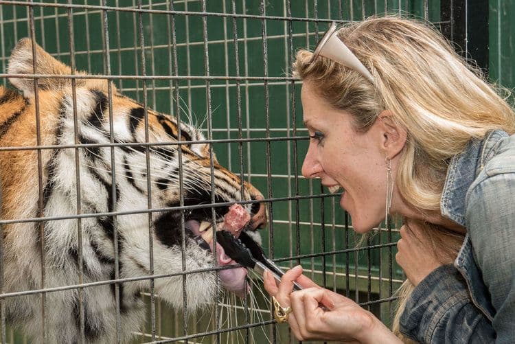 Mogo Wildlife Park 入场门票