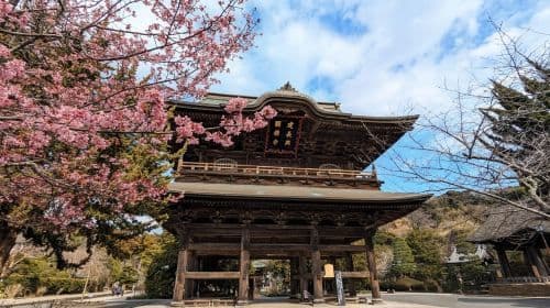 Kamakura: Podróż przez średniowieczną Japonię – wycieczki jednodniowe
