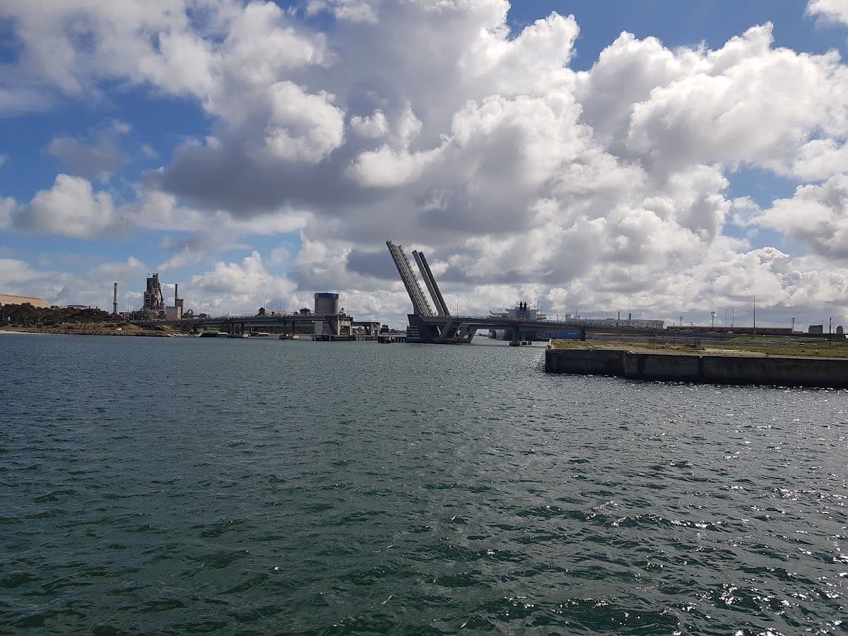 Port River Dolphin Cruise - 90 Minutes