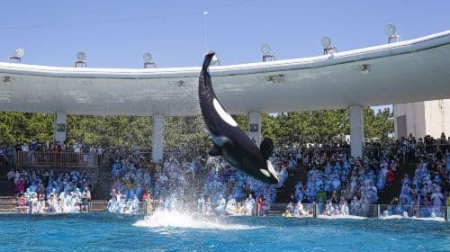 Kamogawa Seaworld