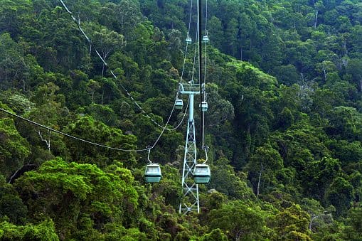 Esperienza di andata e ritorno con la Skyrail Rainforest Cableway