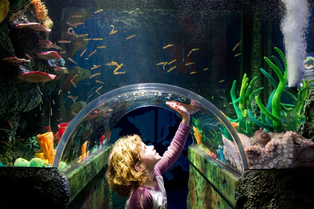 SEA LIFE Melbourne