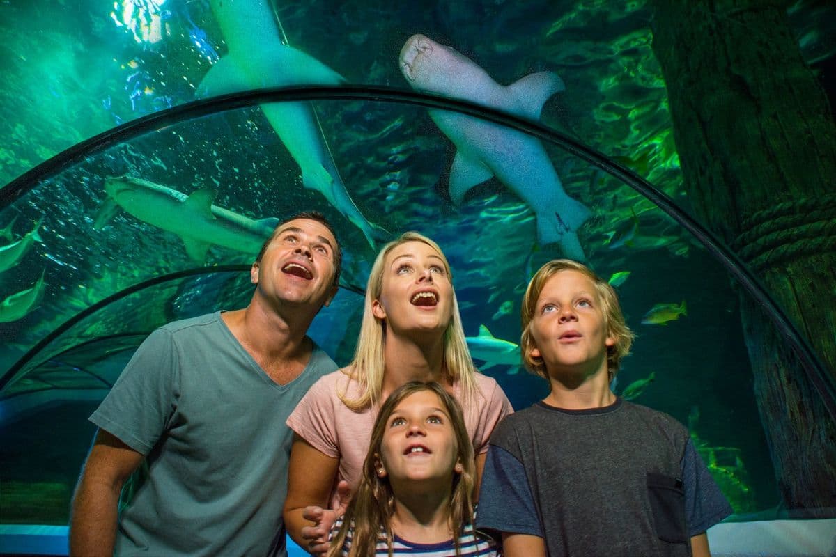SEA LIFE Sunshine Coast
