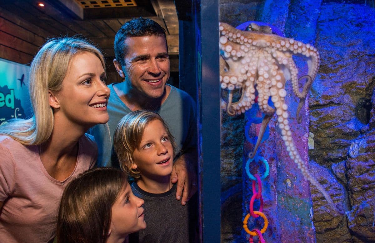 SEA LIFE Sunshine Coast